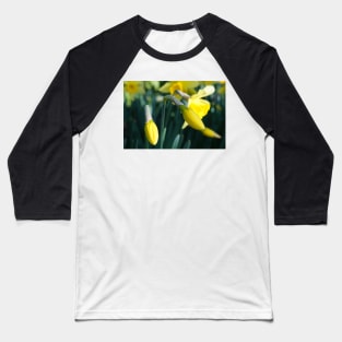 Daffodils Flower Buds unfurling Baseball T-Shirt